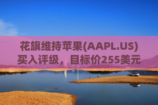 花旗维持苹果(AAPL.US)买入评级，目标价255美元  第1张