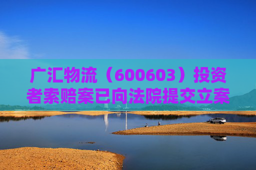 广汇物流（600603）投资者索赔案已向法院提交立案