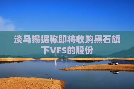 淡马锡据称即将收购黑石旗下VFS的股份