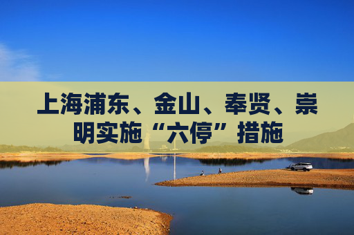 上海浦东、金山、奉贤、崇明实施“六停”措施  第1张