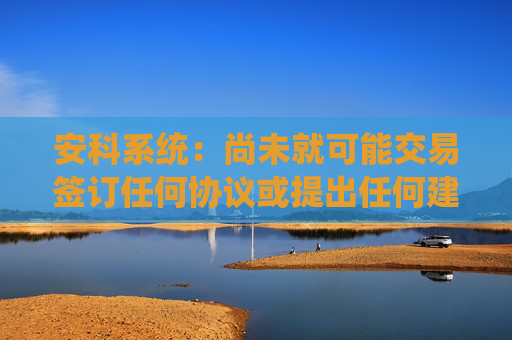 安科系统：尚未就可能交易签订任何协议或提出任何建议