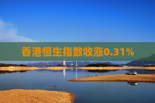 香港恒生指数收涨0.31%  第1张