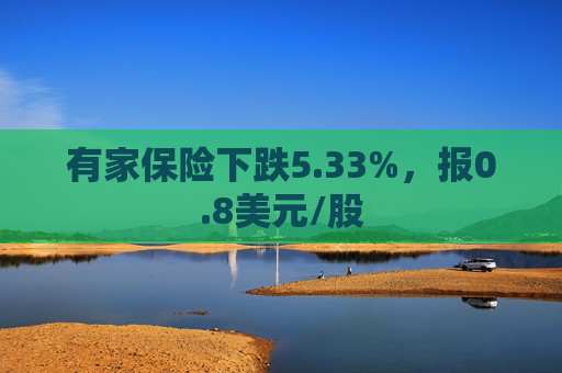 有家保险下跌5.33%，报0.8美元/股  第1张