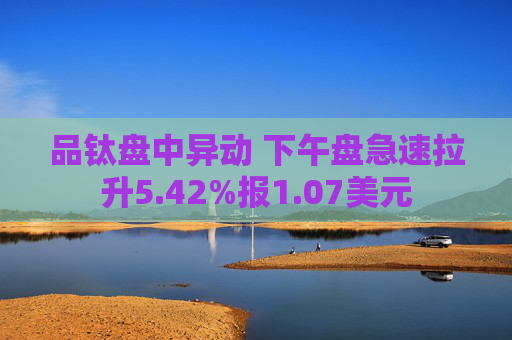 品钛盘中异动 下午盘急速拉升5.42%报1.07美元  第1张