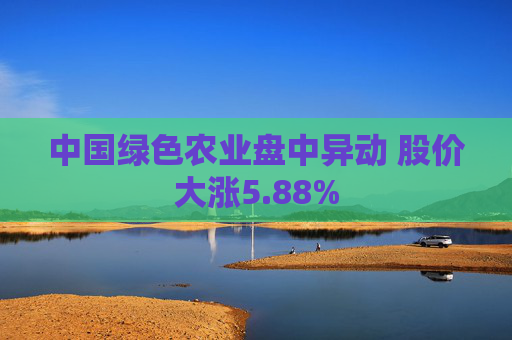 中国绿色农业盘中异动 股价大涨5.88%  第1张