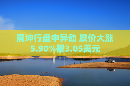 震坤行盘中异动 股价大涨5.90%报3.05美元  第1张