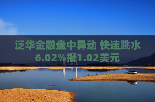 泛华金融盘中异动 快速跳水6.02%报1.02美元  第1张