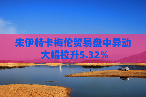 朱伊特卡梅伦贸易盘中异动 大幅拉升5.32%  第1张