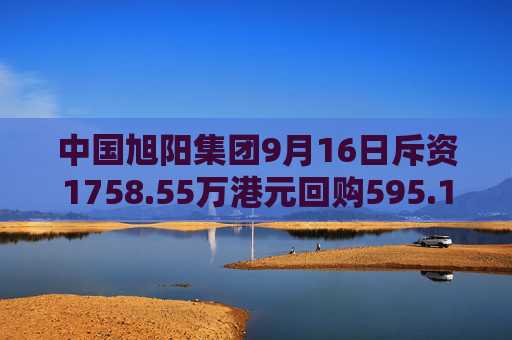 中国旭阳集团9月16日斥资1758.55万港元回购595.1万股  第1张