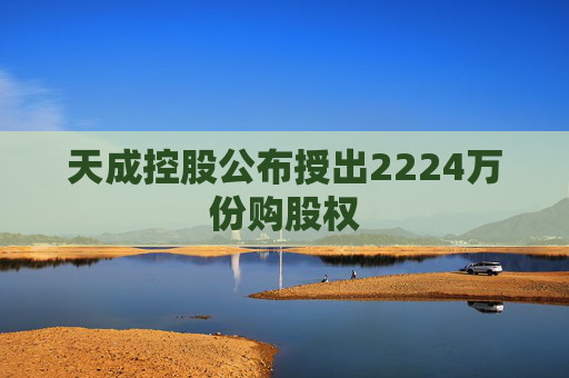 天成控股公布授出2224万份购股权