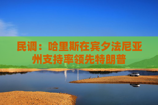 民调：哈里斯在宾夕法尼亚州支持率领先特朗普  第1张