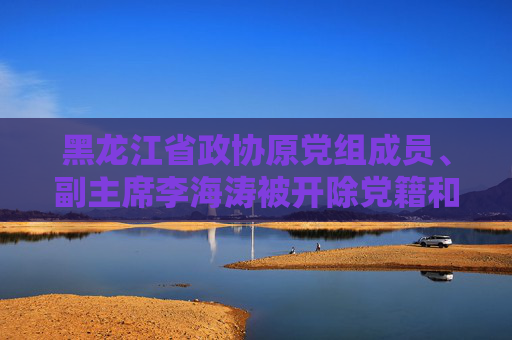 黑龙江省政协原党组成员、副主席李海涛被开除党籍和公职  第1张