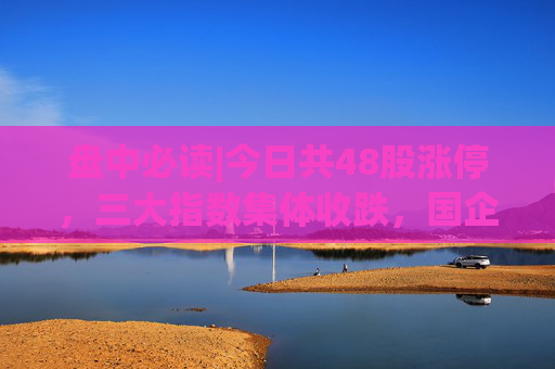 盘中必读|今日共48股涨停，三大指数集体收跌，国企改革、海南概念持续走高  第1张