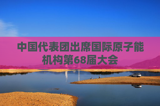 中国代表团出席国际原子能机构第68届大会