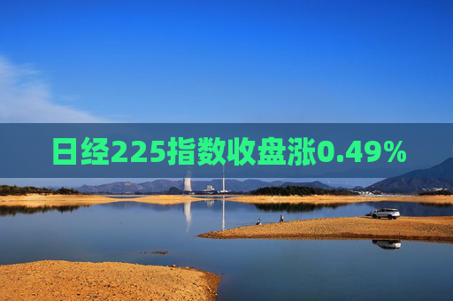 日经225指数收盘涨0.49%  第1张