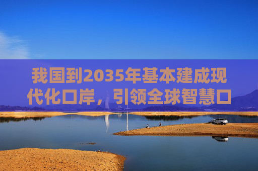 我国到2035年基本建成现代化口岸，引领全球智慧口岸发展  第1张