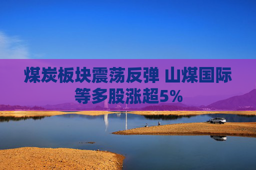 煤炭板块震荡反弹 山煤国际等多股涨超5%