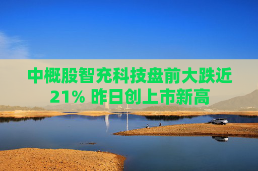 中概股智充科技盘前大跌近21% 昨日创上市新高  第1张