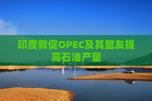 印度敦促OPEC及其盟友提高石油产量