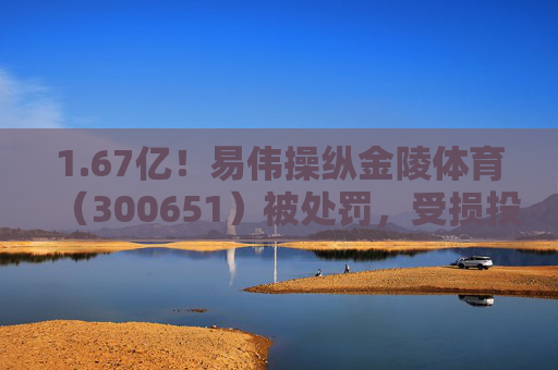 1.67亿！易伟操纵金陵体育（300651）被处罚，受损投资者能否主张索赔？  第1张