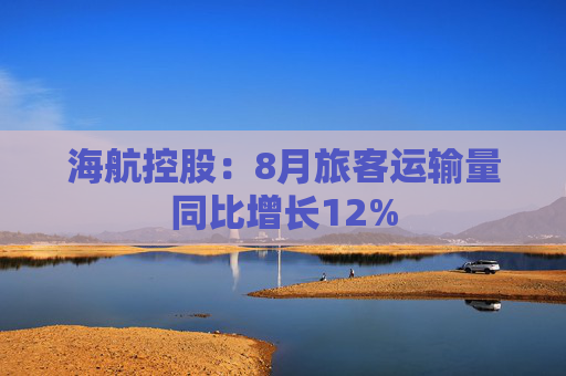 海航控股：8月旅客运输量同比增长12%  第1张