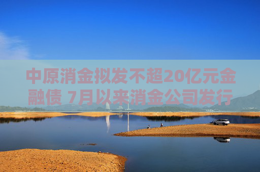 中原消金拟发不超20亿元金融债 7月以来消金公司发行金融债规模已逼近上半年  第1张