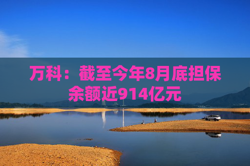 万科：截至今年8月底担保余额近914亿元  第1张