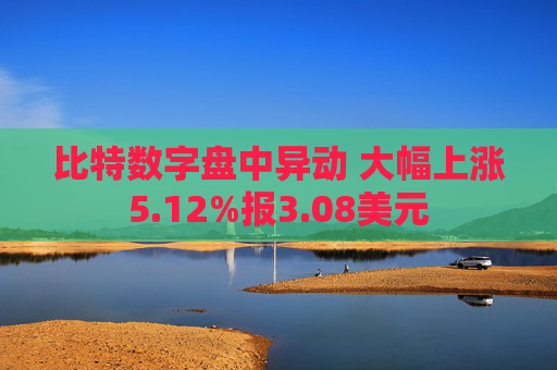 比特数字盘中异动 大幅上涨5.12%报3.08美元  第1张