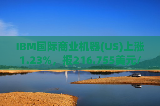 IBM国际商业机器(US)上涨1.23%，报216.755美元/股  第1张