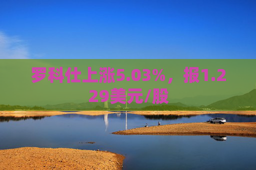 罗科仕上涨5.03%，报1.229美元/股