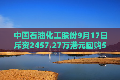 中国石油化工股份9月17日斥资2457.27万港元回购550.6万股  第1张