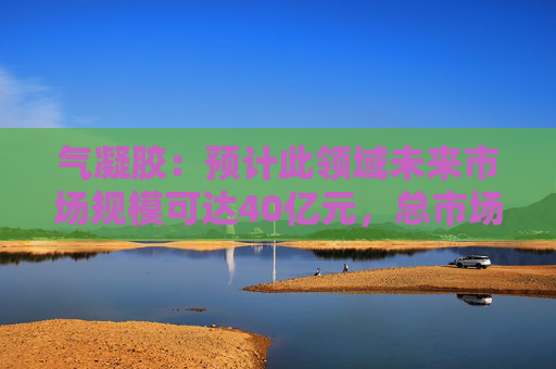 气凝胶：预计此领域未来市场规模可达40亿元，总市场规模可达120亿元左右（2023年为48亿元）  第1张