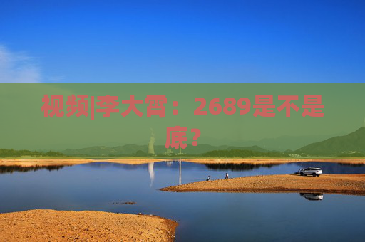 视频|李大霄：2689是不是底？  第1张