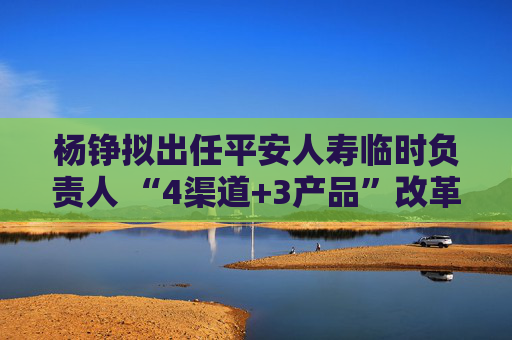 杨铮拟出任平安人寿临时负责人 “4渠道+3产品”改革将进一步深化  第1张