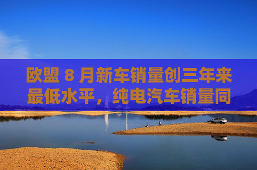 欧盟 8 月新车销量创三年来最低水平，纯电汽车销量同比暴跌 43.9%  第1张