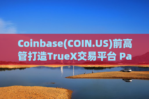 Coinbase(COIN.US)前高管打造TrueX交易平台 PayPal(PYPL.US)稳定币PYUSD成核心交易货币  第1张