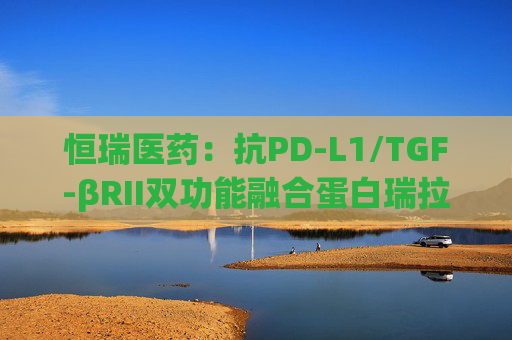 恒瑞医药：抗PD-L1/TGF-βRII双功能融合蛋白瑞拉芙普-α注射液上市申请获受理  第1张