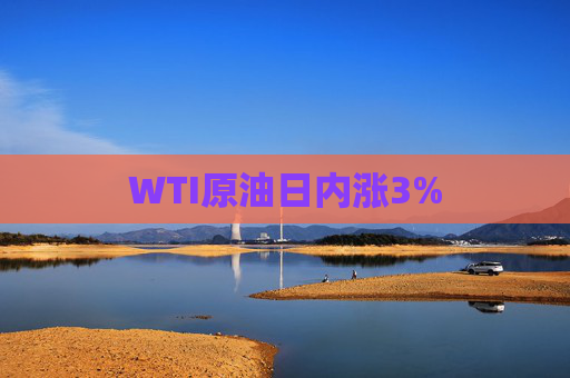 WTI原油日内涨3%