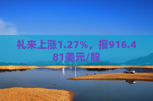 礼来上涨1.27%，报916.481美元/股  第1张