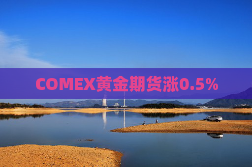 COMEX黄金期货涨0.5%  第1张