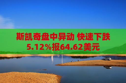 斯凯奇盘中异动 快速下跌5.12%报64.62美元  第1张