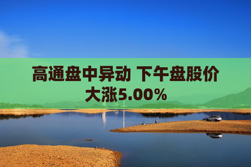 高通盘中异动 下午盘股价大涨5.00%  第1张