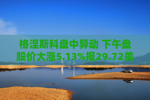 格涅斯科盘中异动 下午盘股价大涨5.13%报29.72美元