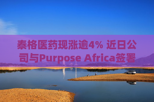 泰格医药现涨逾4% 近日公司与Purpose Africa签署合作备忘录