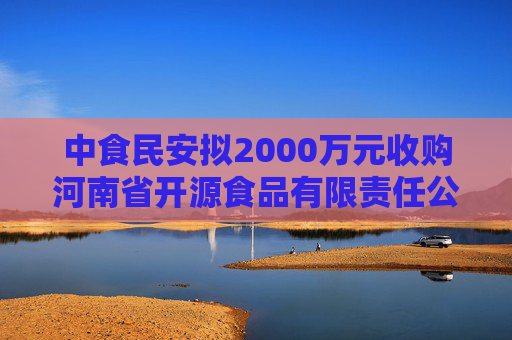 中食民安拟2000万元收购河南省开源食品有限责任公司的100%股权  第1张