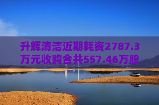 升辉清洁近期耗资2787.3万元收购合共557.46万股百事达股份