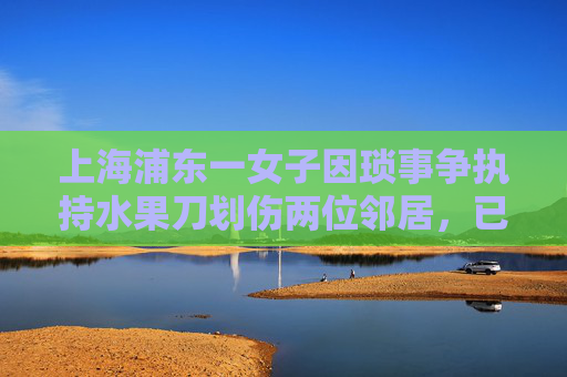 上海浦东一女子因琐事争执持水果刀划伤两位邻居，已被警方控制  第1张