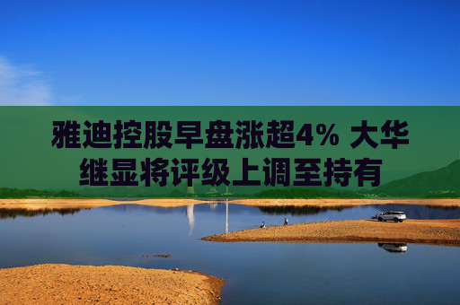 雅迪控股早盘涨超4% 大华继显将评级上调至持有  第1张