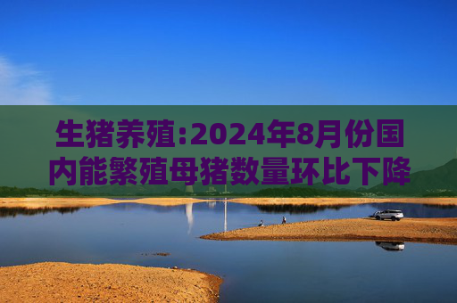 生猪养殖:2024年8月份国内能繁殖母猪数量环比下降5万头，至4036万头