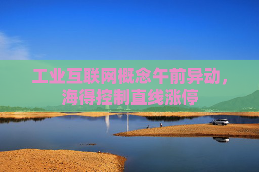 工业互联网概念午前异动，海得控制直线涨停  第1张